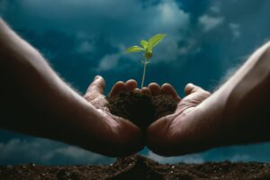 Matt Carroll St. Louis Cardinals - Sustainable Leadership